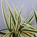 대훈유통 이미지