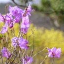 펜션 B612 이미지