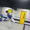 목동 수 태권도장 | 강서구·양천구 성인태권도, “운동 시작은 해야지…” 미루고 있다면 (2026년 4월)