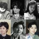 김현희 - 시흥시 거북섬로 104 | 김현희