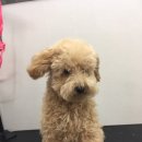 견생묭실 이미지