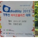 탄동천-2 이미지