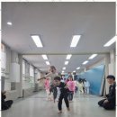 강철태권도 이미지