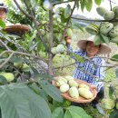 당산농원 이미지