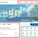 보령시청 티스토리