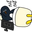한국실버산업협회/연구소