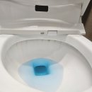 분당-173 이미지