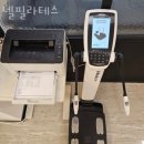 넬필라테스