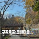 구곡폭포(문배마을) | 춘천 구곡폭포 문배마을 가을절경!