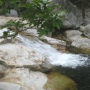 오대산국립공원 소금강 오토캠핑장 이미지