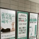 제니스 | 누워서 하는 다이어트 ? 셀포랩제니스 후기