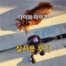 다이와 라이즈 베이트 릴 실사용 후기 | 선상 갑오징어 낚시 2회 필드 테스트