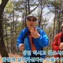 노루모TV