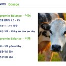 (주)에프앤티바이오 이미지