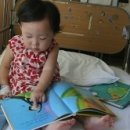 디딤동물병원 이미지