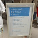 이구키즈 성수 매장 후기 / 29CM KIDS 성수 팝업 / 플래그십