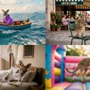 Easy 스크린골프 이미지