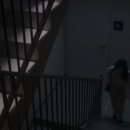 개꿀 이미지