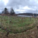 치상농장 이미지