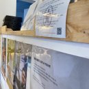 거북이만두 | 제주올레시장 먹거리, '장인의집' 만두/ '거북이한과' / 황금향 / 다정이네김밥 /기념품과자