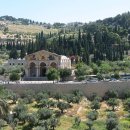 주의동산교회 이미지