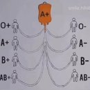 ■ 혈액형별 수혈 가능을 움짤로 보자 이미지