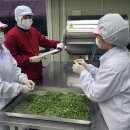 농산물종합가공지원센터 이미지