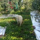 성두 농장 이미지