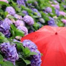 강수목장 이미지