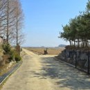 우강평야1로 이미지