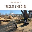 이림유치원 | 강화도 정원 카페이림, 꽃 향기 가득했던 목련 밀크티 내돈내산