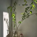 한예롤 작가님 오픈스튜디오 그림 작업실 구경하기