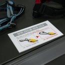 야옹 멍멍 이미지