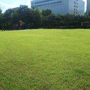 서울등명초등학교 이미지