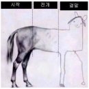 몽가 이미지
