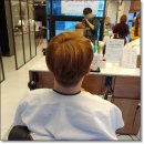 골드브라운 이미지