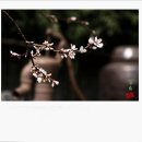 약전골목 이미지