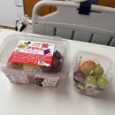 혜성산부인과병원 | [정보공유]모태안 산부인과 제왕절개 수술 및 5박6일 입원 후기(말많음 주의)