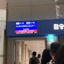 [하와이] 혼자 떠난 하와이 5박 7일 자유여행 #호놀룰루 #코나 #쉐라톤프린세스카이울라니🌴🌊