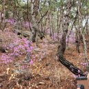 백로마을 이미지