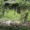 황가농장 이미지