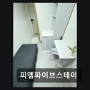 파이브스테이