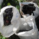 고운손길 이미지