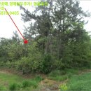 대진보건진료소 이미지