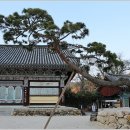 창녕옥야중학교 이미지