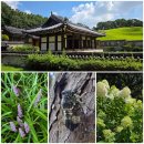 충숙근린공원 이미지