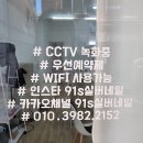91s실버네일