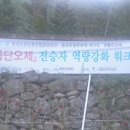 예맥아트센터 이미지