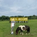 [제주도패키지여행] 3박4일 제주도 여행 3,4일차 후기와 패키지여행 장단점