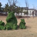 생태랑 놀아볼까 이미지